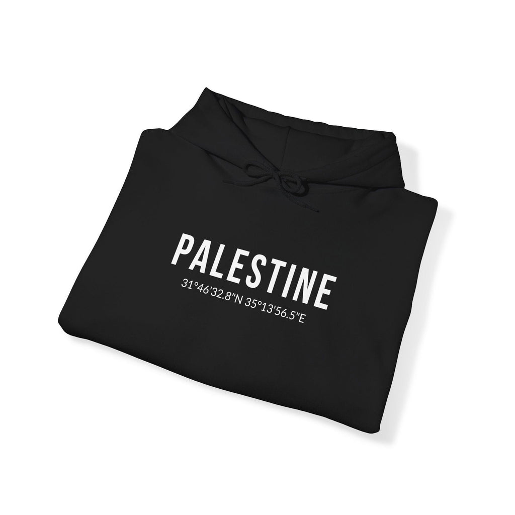 Buy Free Palestine Unisex Hoodie Sweatshirt from Contrast Craze, a stylish .