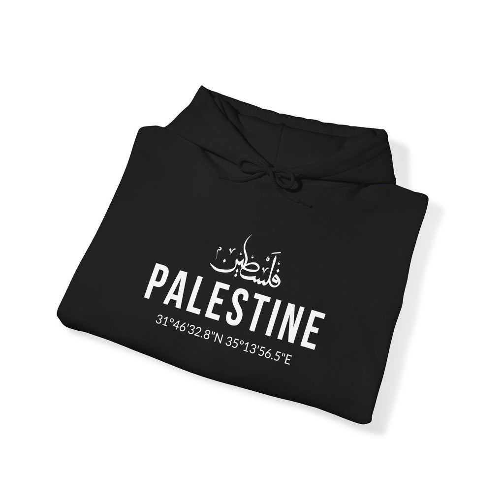 Buy Palestine Coordinates Unisex Hoodie Sweatshirt from Contrast Craze, a stylish .